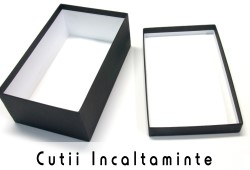 Cutii Incaltaminte