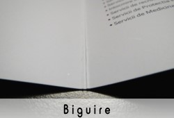 Biguire