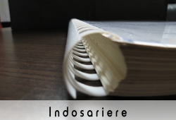 Indosariere