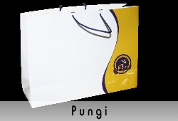 Pungi