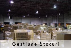 Gestiune Stocuri