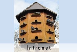 Intranet