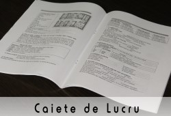 Caiete de Lucru