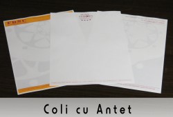 Coli cu Antet