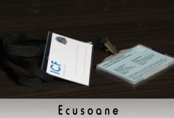 Ecusoane