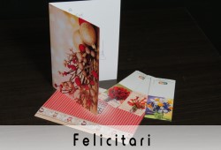 Felicitari