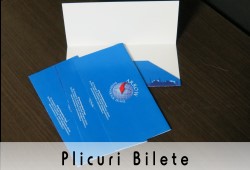 Plicuri Bilete